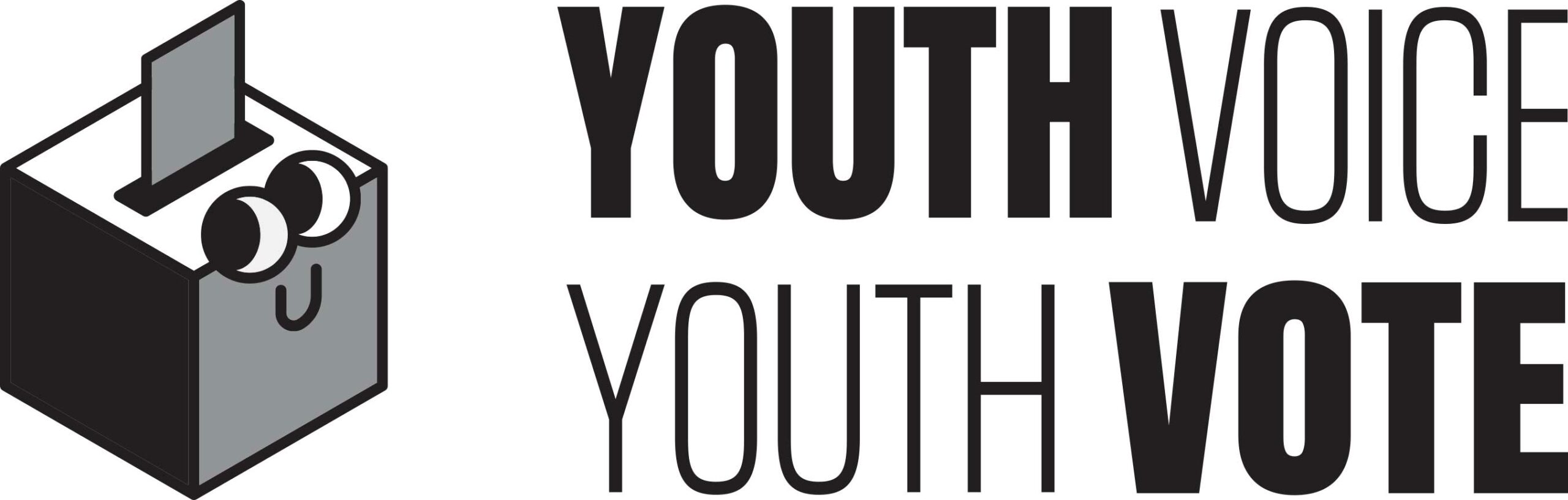 Youth Voice Youth Vote